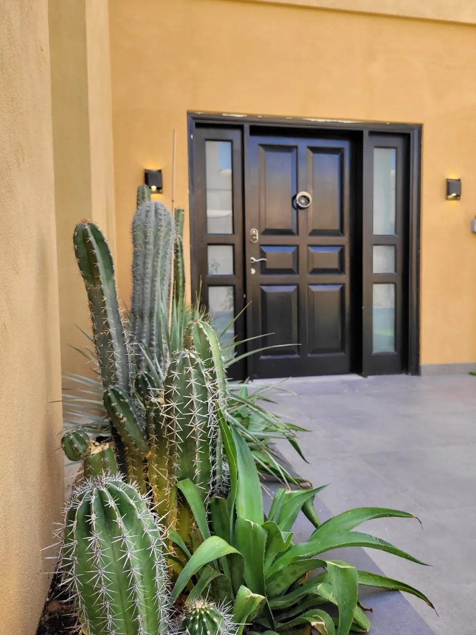 Landscape & Pool Works — photo